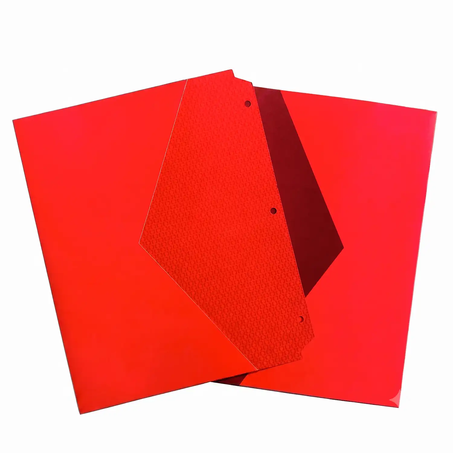 3-Ring Binder Pocket Insert | RG